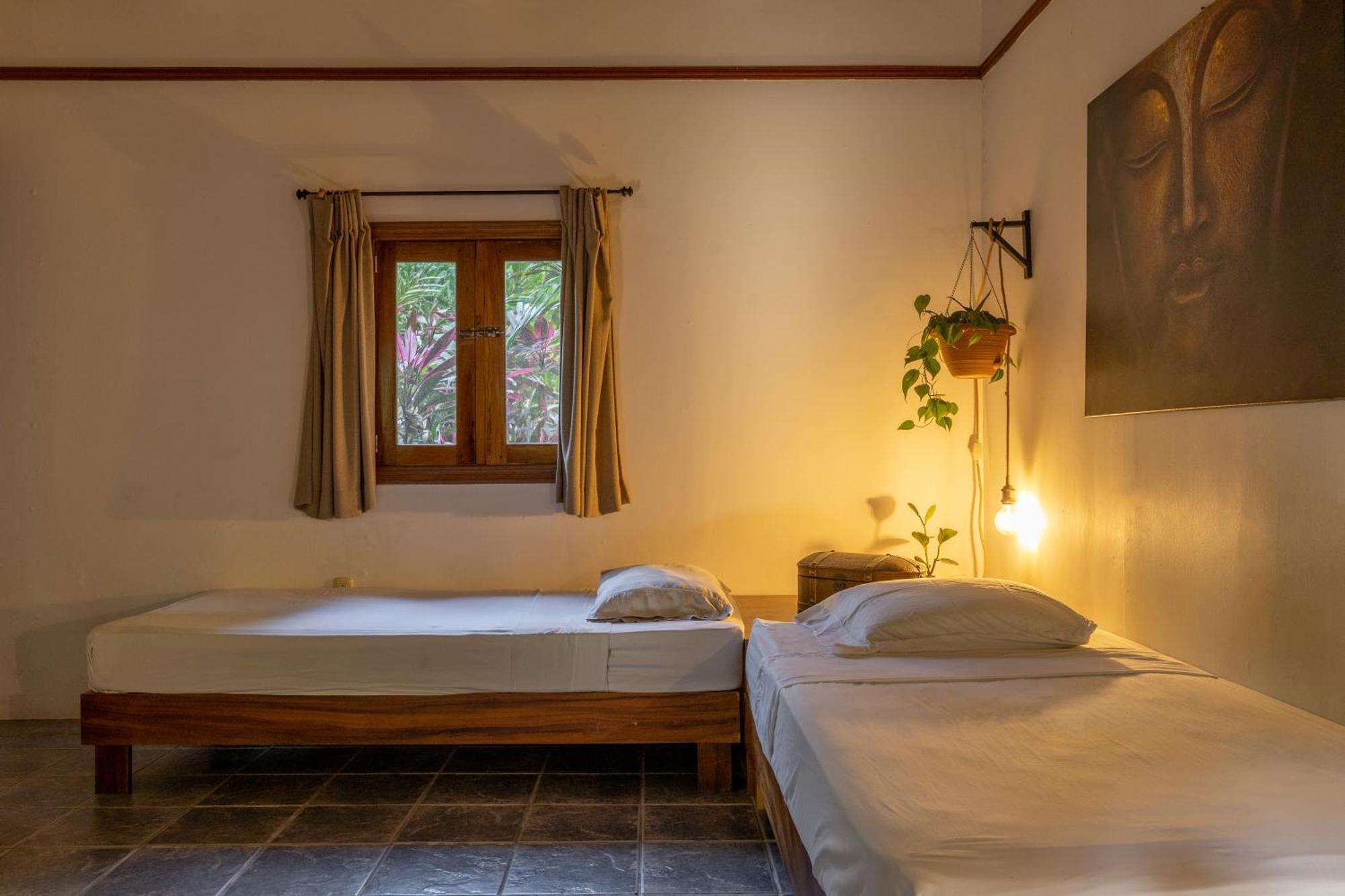 Star Mountain Jungle Lodge & Horse Ranch Malpais Buitenkant foto