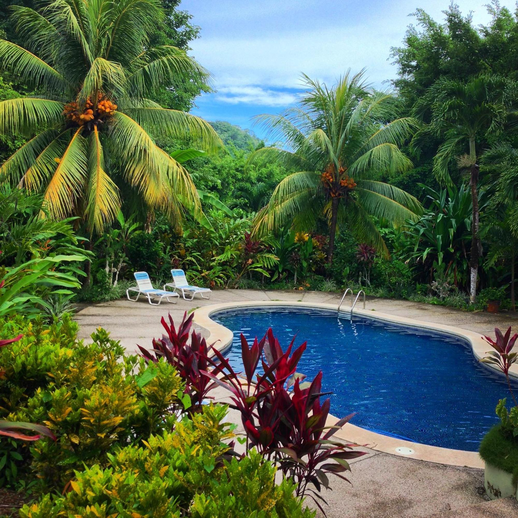 Star Mountain Jungle Lodge & Horse Ranch Malpais Buitenkant foto