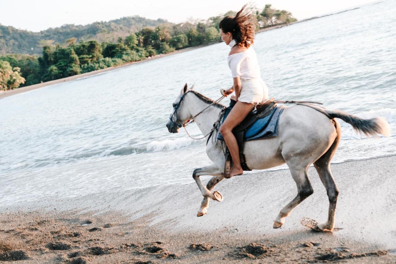 Star Mountain Jungle Lodge & Horse Ranch Malpais Buitenkant foto