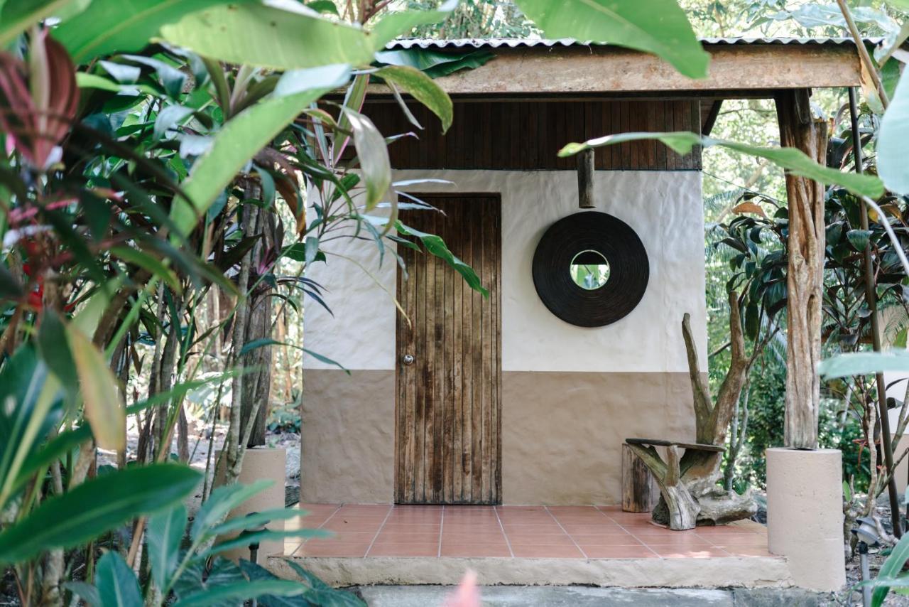 Star Mountain Jungle Lodge & Horse Ranch Malpais Buitenkant foto