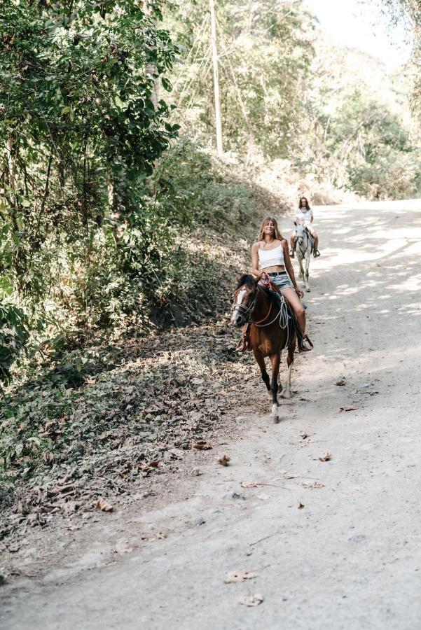 Star Mountain Jungle Lodge & Horse Ranch Malpais Buitenkant foto