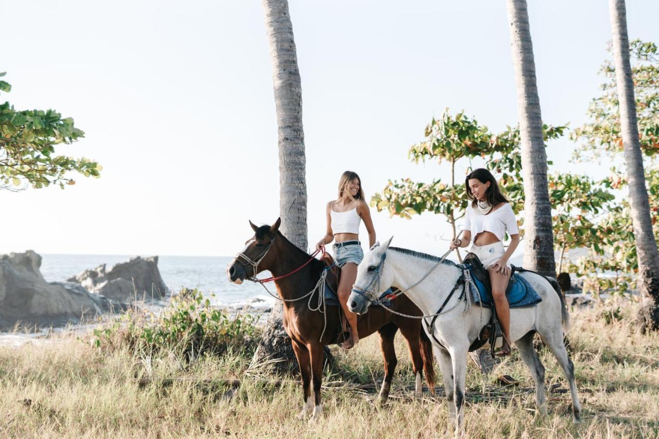 Star Mountain Jungle Lodge & Horse Ranch Malpais Buitenkant foto